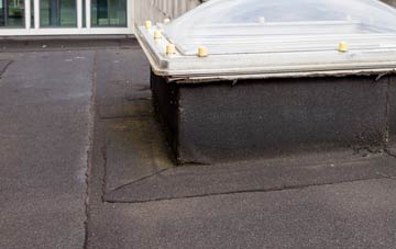 disadvantages of Balnamore flat roofs
