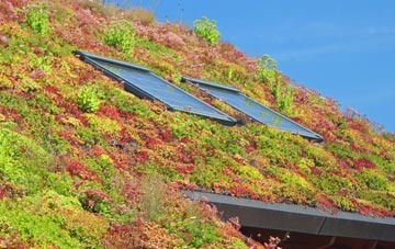 Balnamore living roof systems
