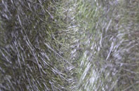 Balnamore fibreglass roof work